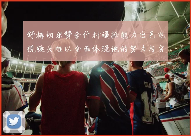 舒梅切尔赞舍什科逼抢能力出色电视镜头难以全面体现他的努力与贡献